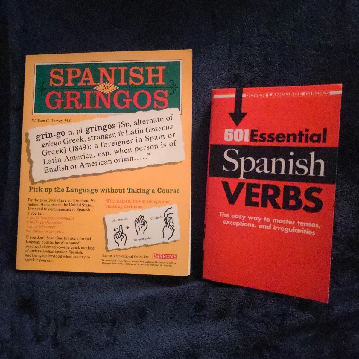 Lot Of 2 Spanish Books For Learning – Spanish For Gringos, 501 Essential Verbs