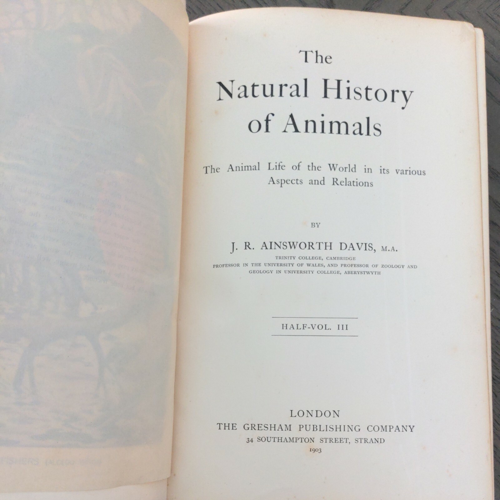 The Natural History Of Animals (Hardcover 1903) J.R. Ainsworth Davis Half Vol 3