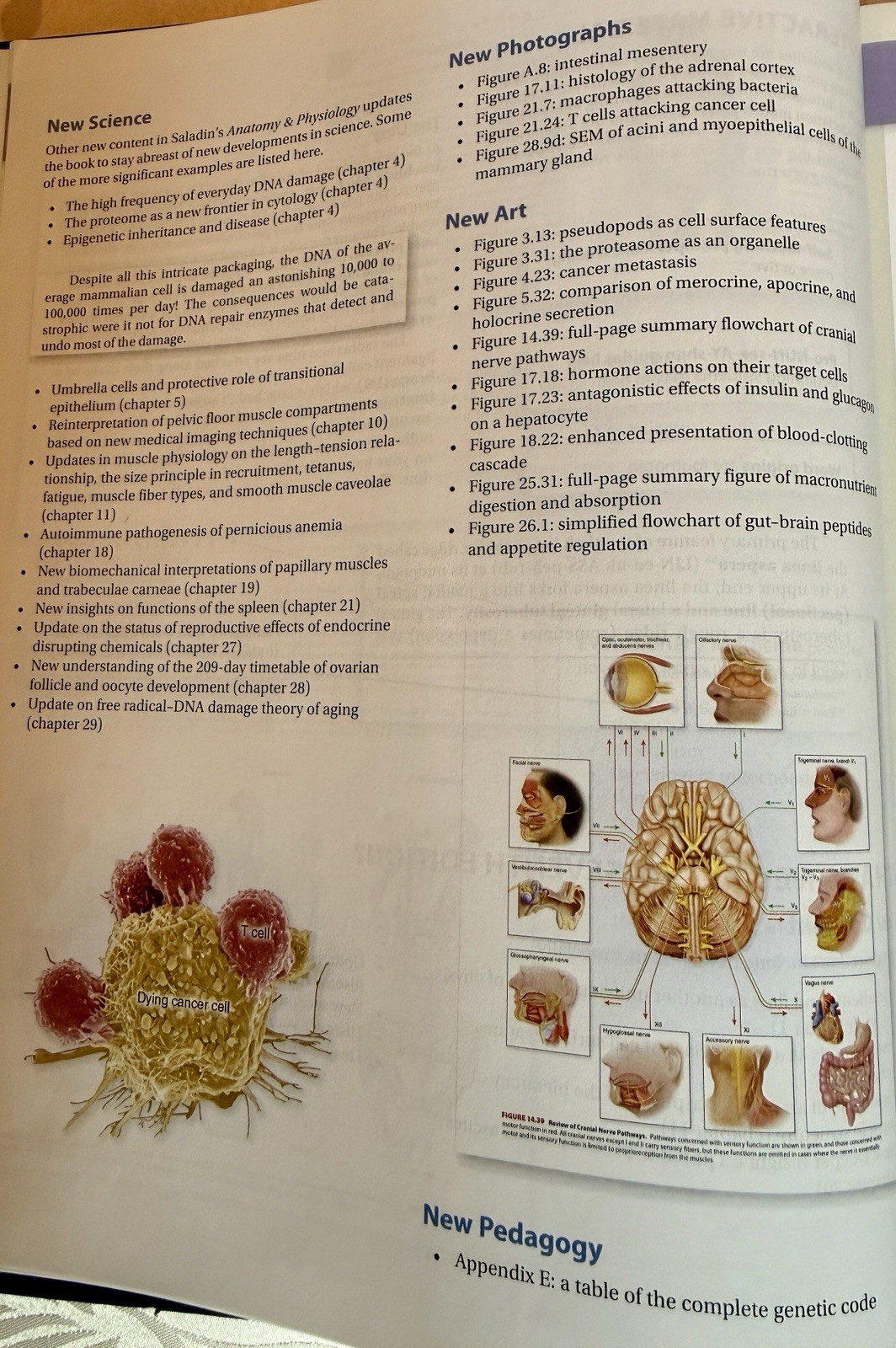 Saladin Anatomy & Physiology Unity of Form & Function 7th HC 2014 Illustrated
