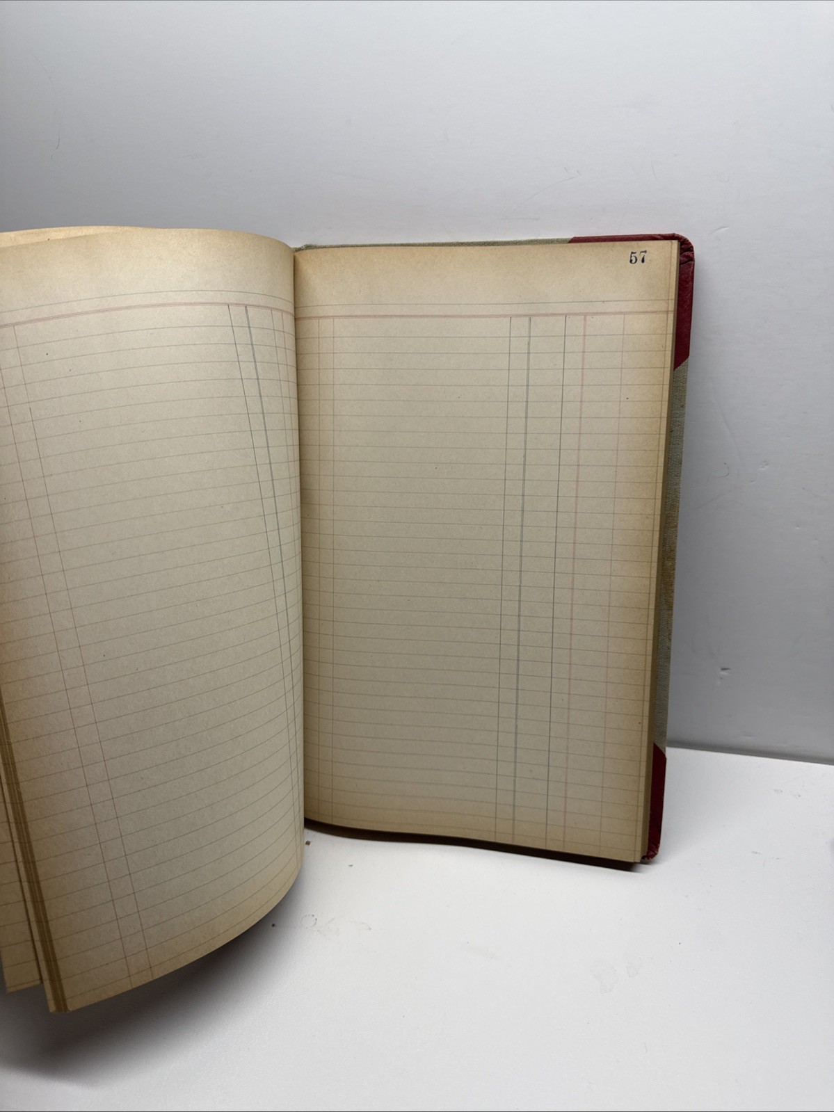 Antique Ledger Budget Book