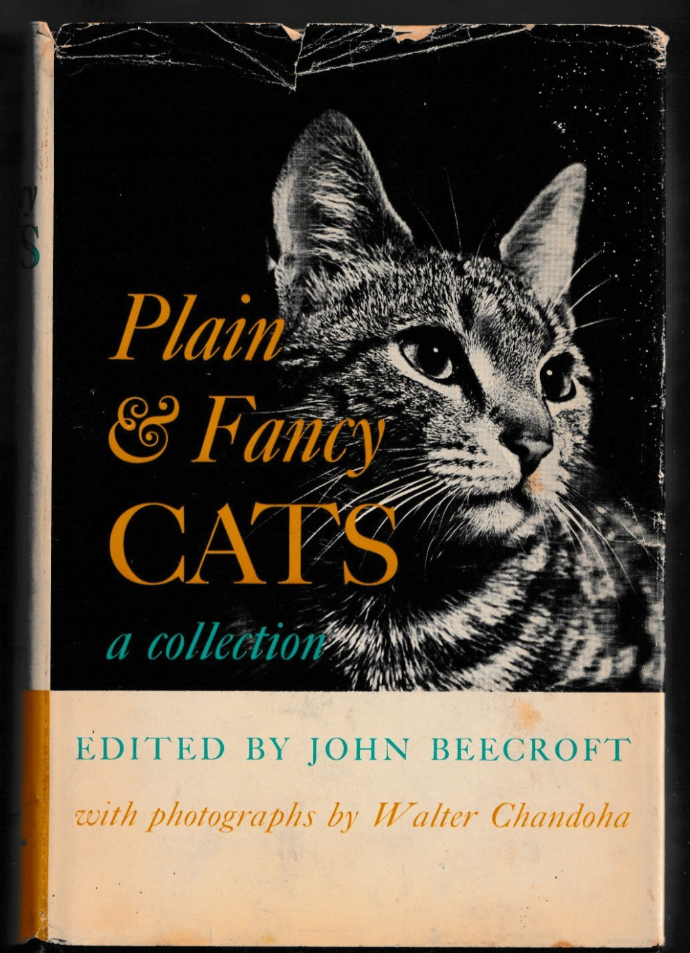 PLAIN & FANCY CATS John Beecroft 1958 hc book 436 pages Traits Friendship