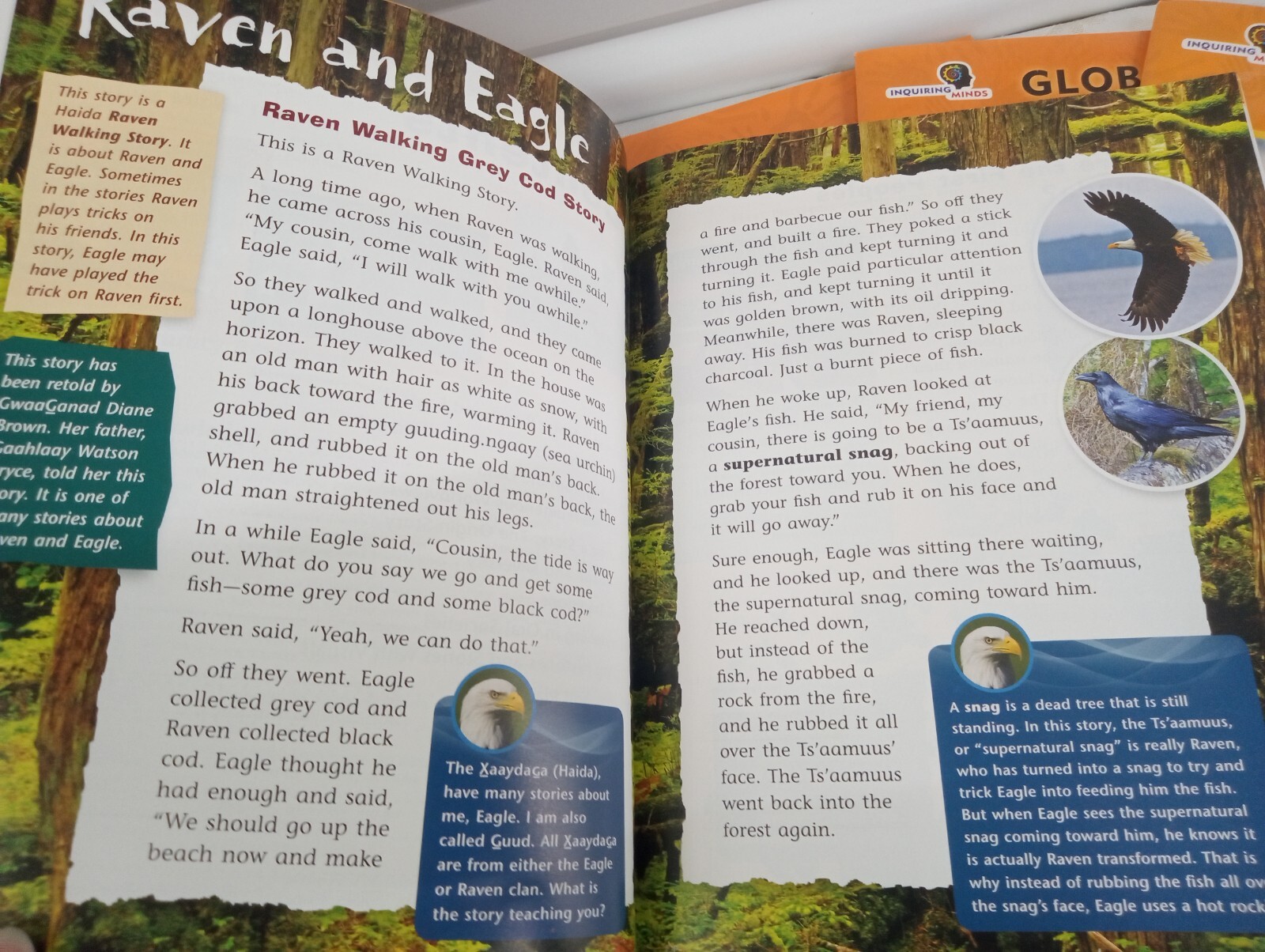 Pearson Inquiring Minds Global Indigenous Peoples Series Grade 3 Social Studies