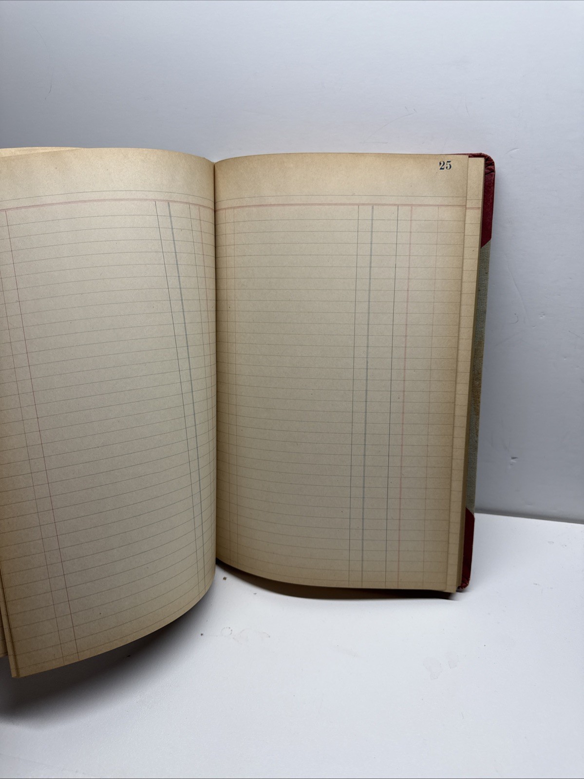 Antique Ledger Budget Book