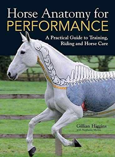 Horse Anatomy for Performance – Paperback, by Higgins Gillian – Very Good