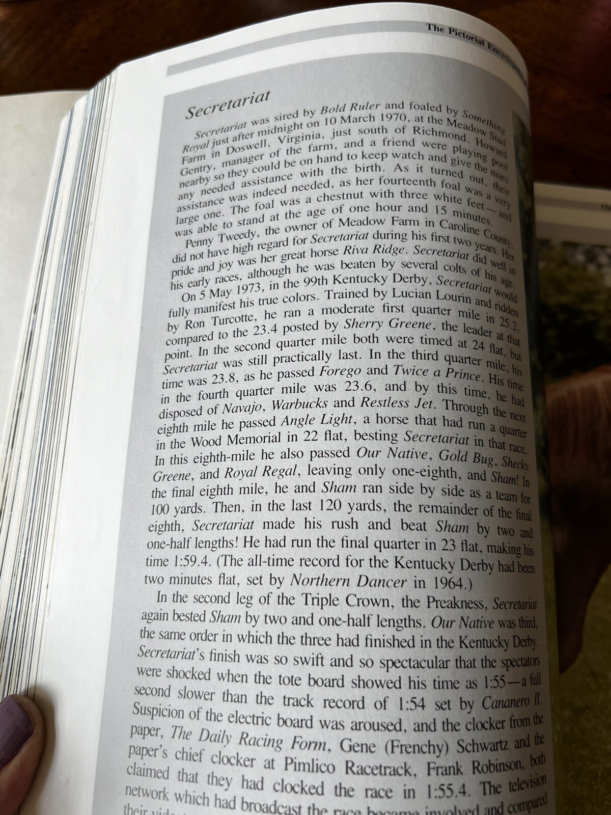 Pictorial Encyclopedia of Horses by WJ Yenne, 1989
