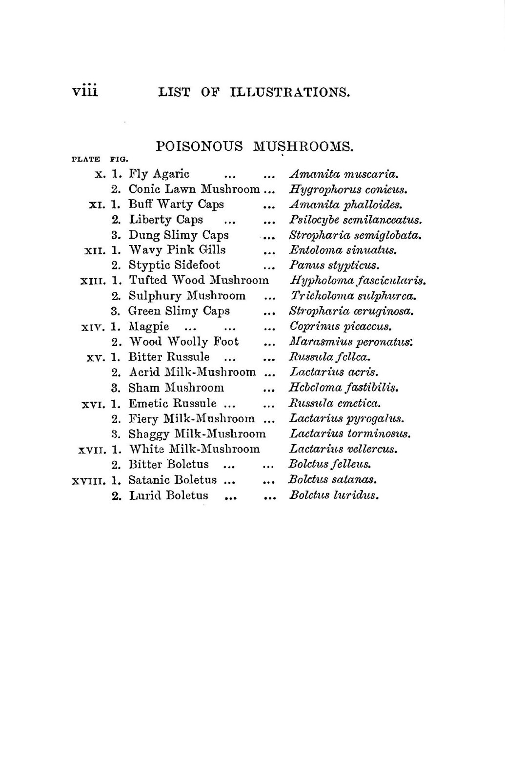 1894 Edible And Poisonous Mushrooms 158 Pages