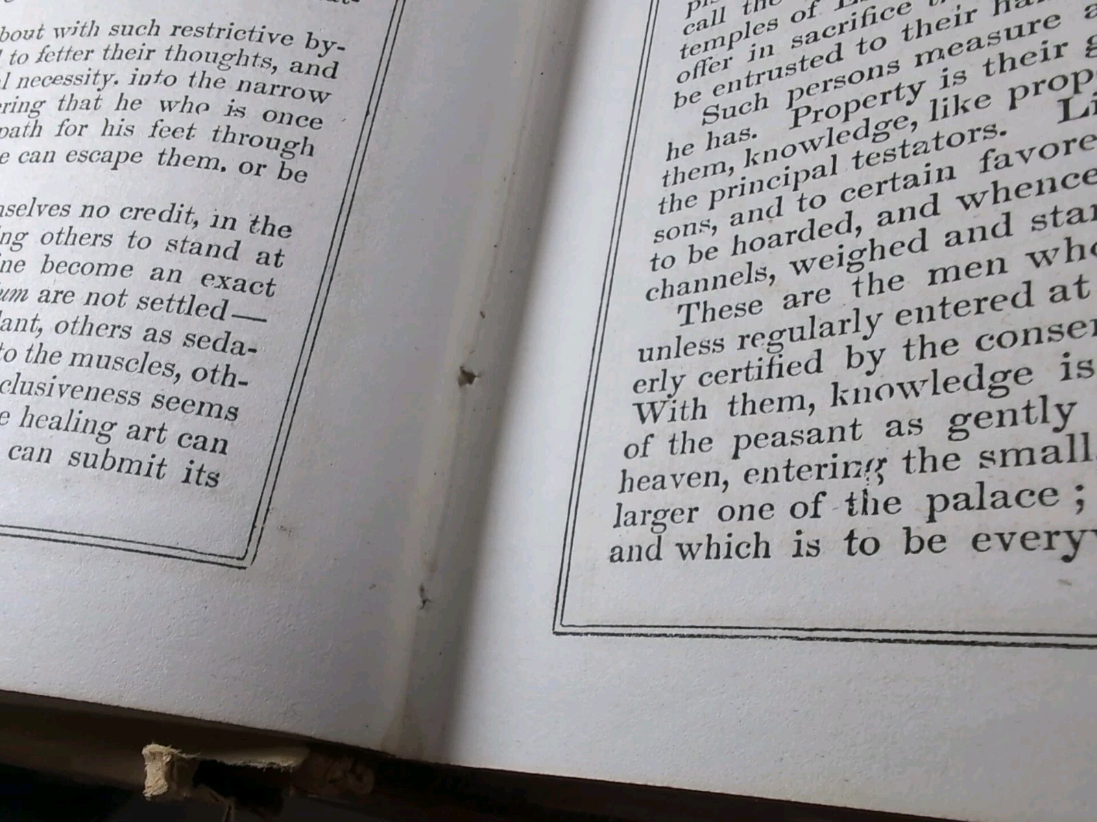 The Household Physician By Ira Warren 1864. 800 Pages