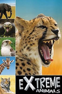 Extreme Animals; Ready To Read – 1848796889, Sarah Creese, paperback