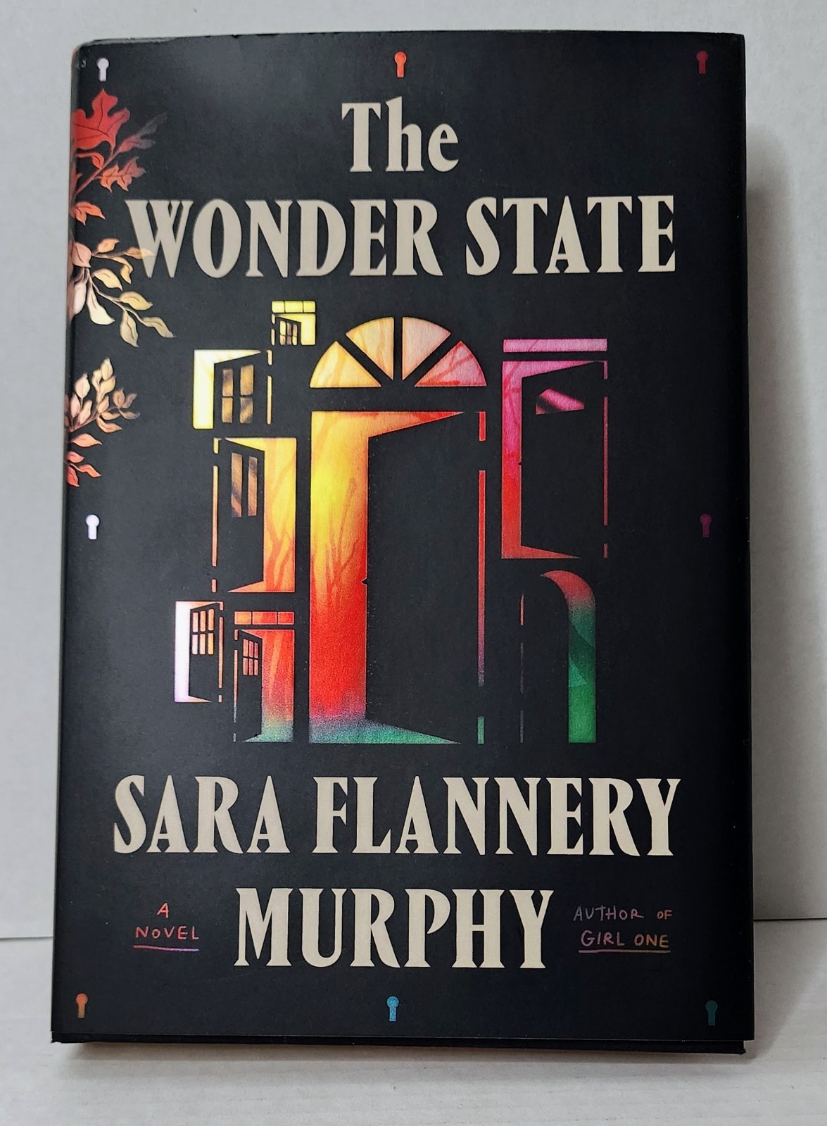 The Wonder State Sara Flannery Murphy 1st Edition HC 2023 ISBN 9780374601775