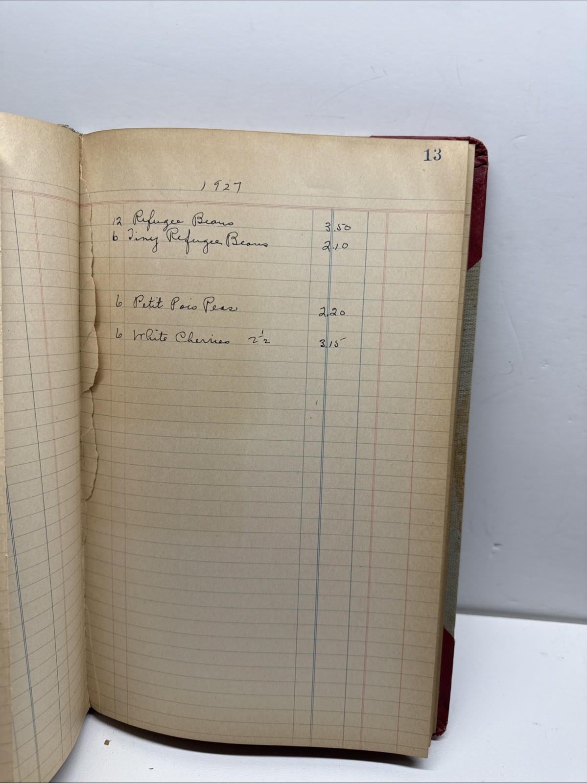 Antique Ledger Budget Book