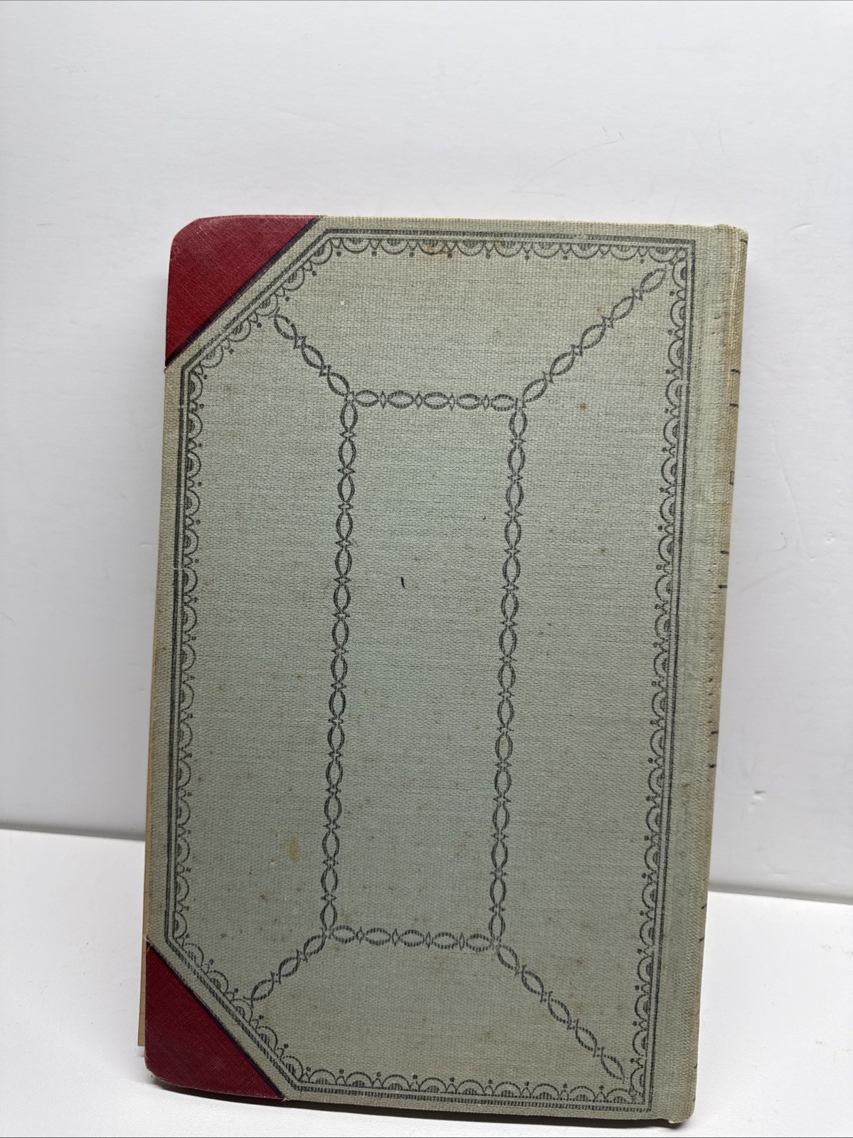 Antique Ledger Budget Book