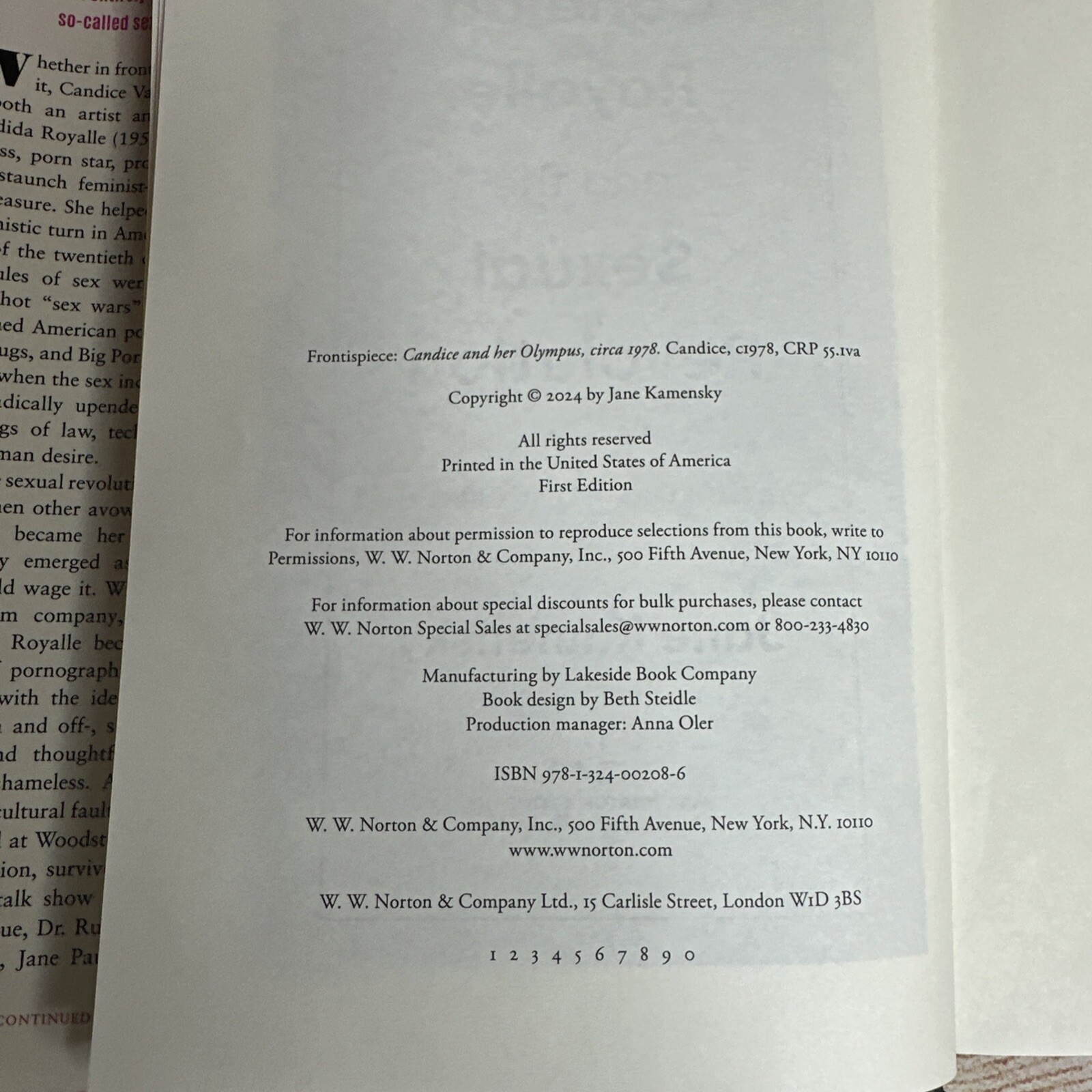 Candida Royalle And The Sexual Revolution A History From Below Jane Kamensky