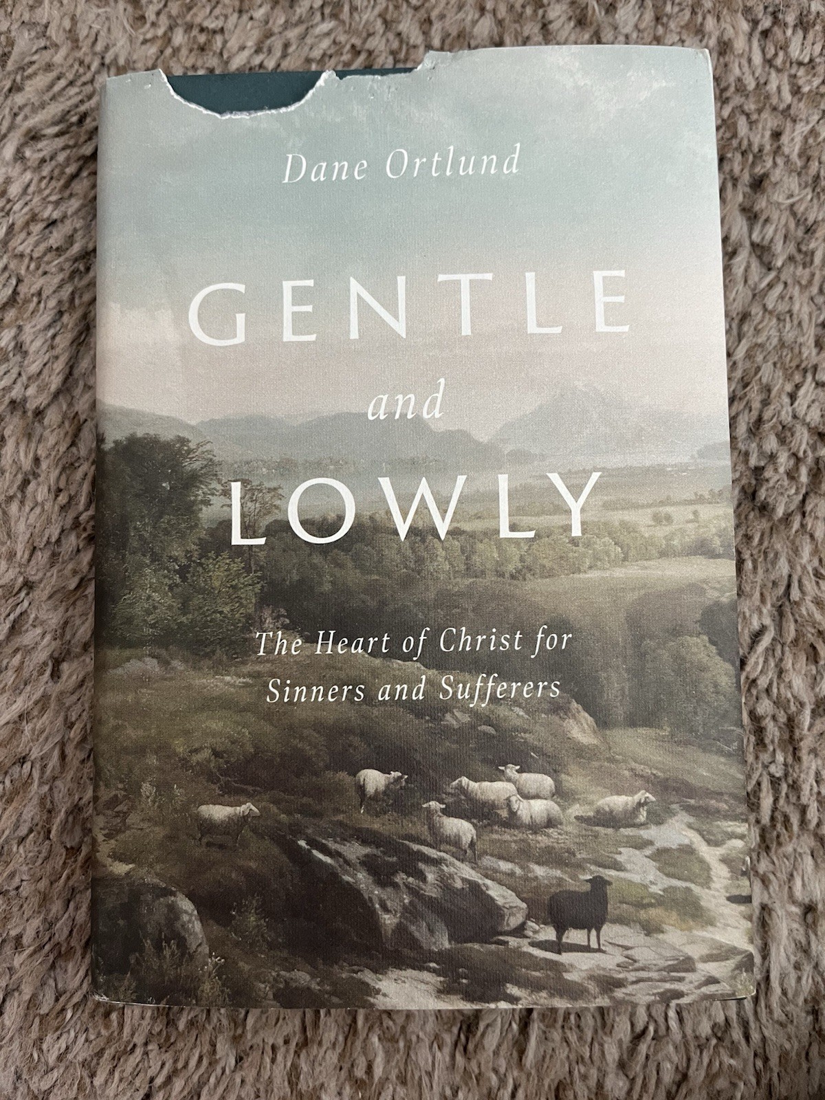 Gentle and Lowly : by Dane Ortlund (Hardcover)