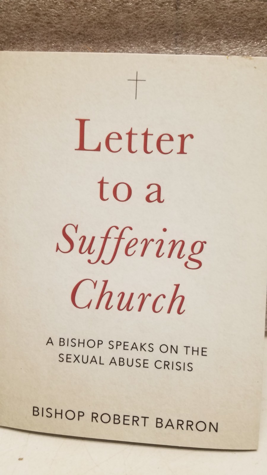 Letter to a Suffering Church by Bishop Richard Barron 2019 (D)