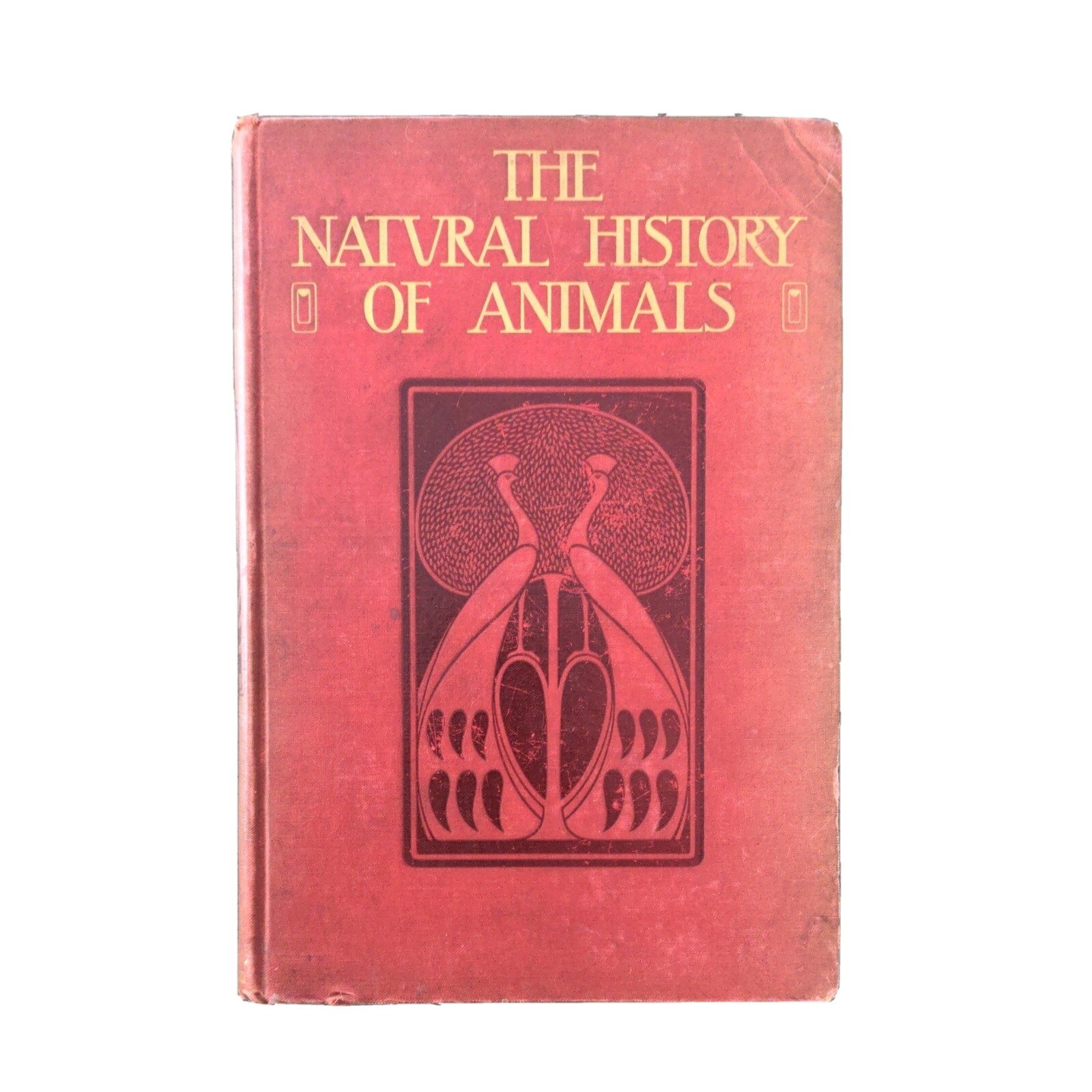 The Natural History Of Animals (Hardcover 1903) J.R. Ainsworth Davis Half Vol 3
