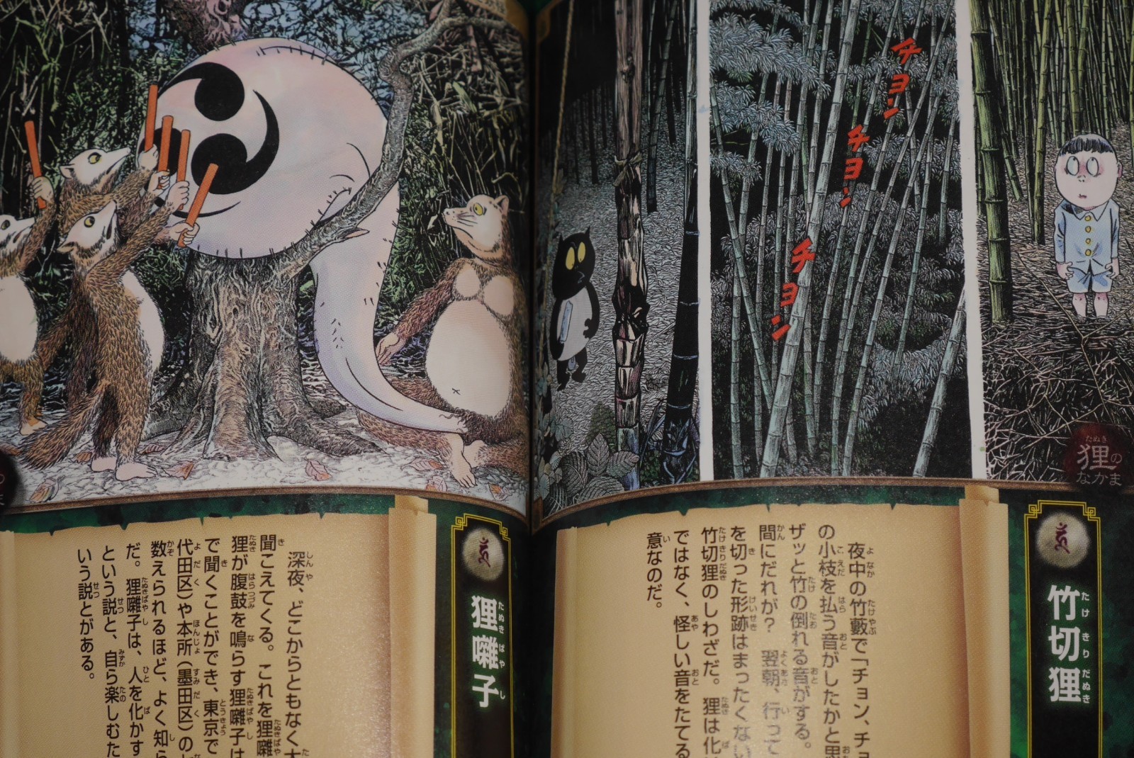 JAPAN Shigeru Mizuki Book: Yokai Visual Daizukan “Yokai Picture Book”