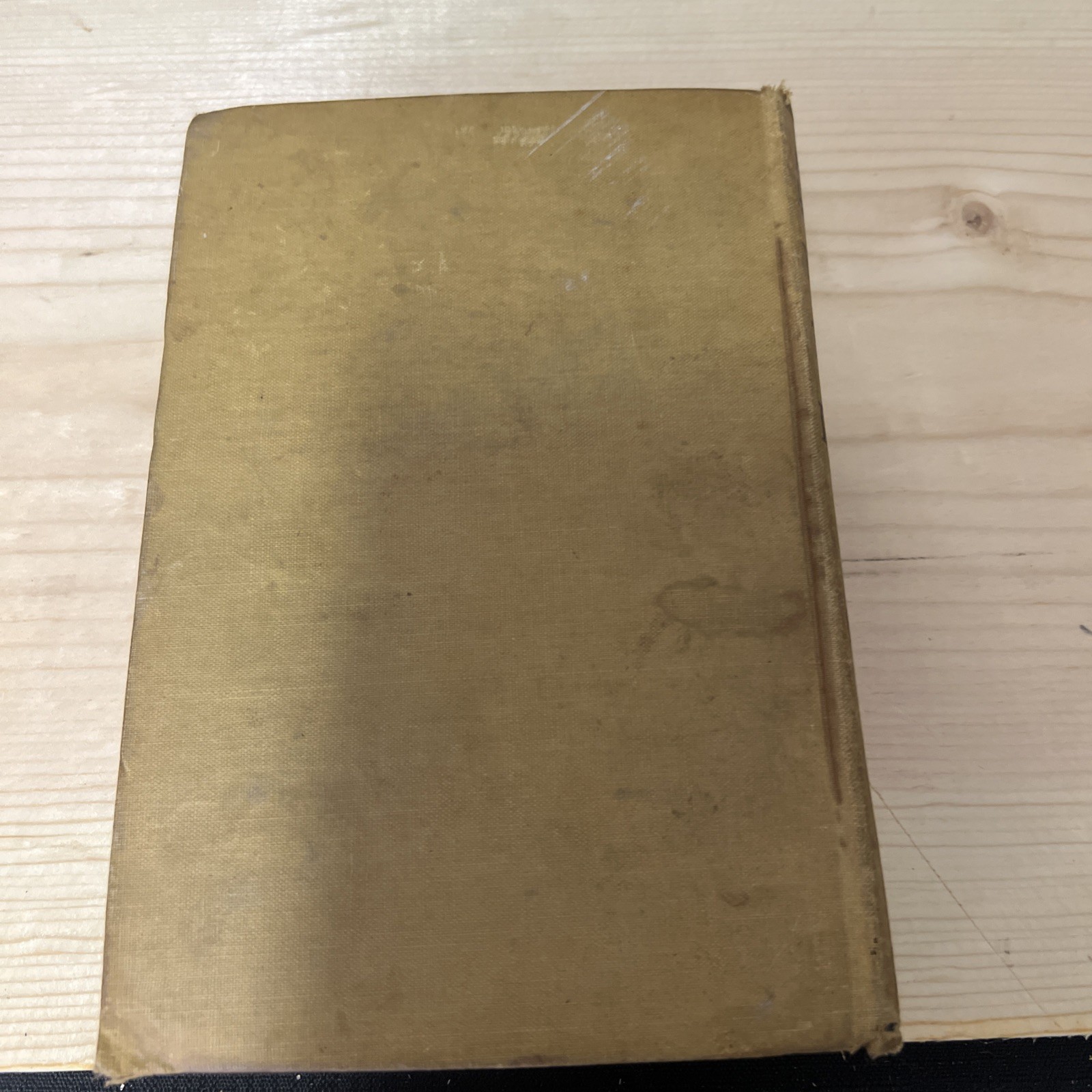1920s Alice’s Adventures in Wonderland & Through the Looking GlassLewis Carroll